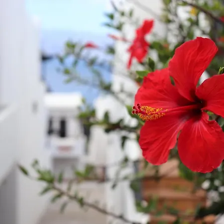Casa Lina Sardina *