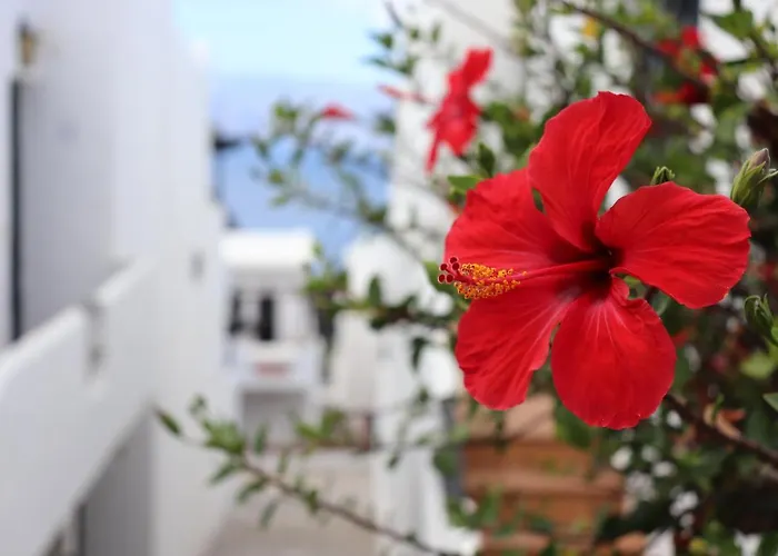 Casa Lina Sardina *
